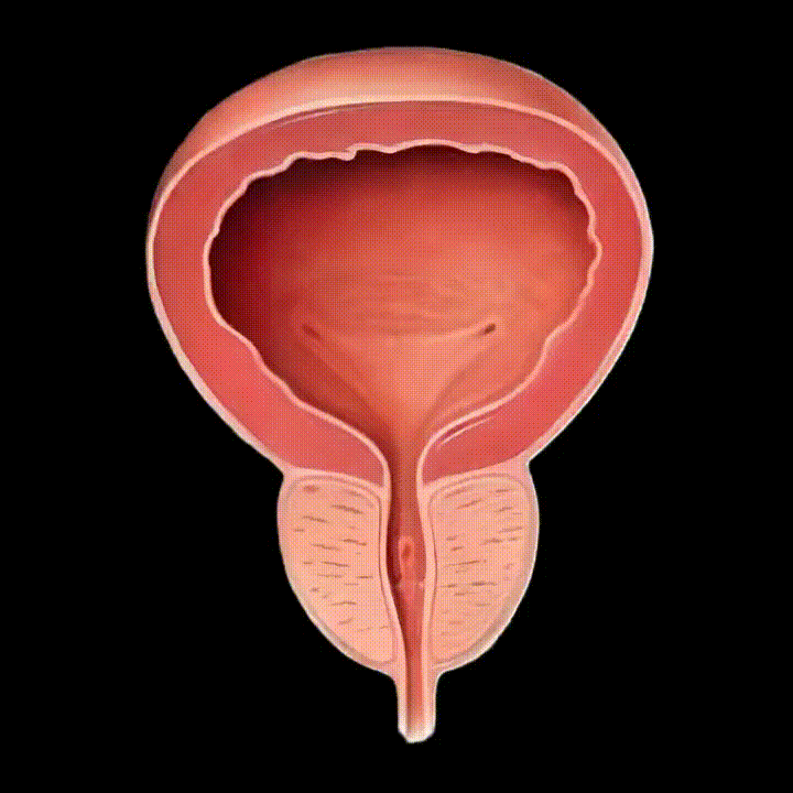Sissygasm Animation